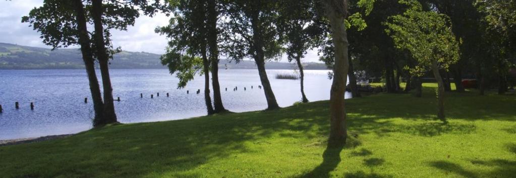 Lakeside Cottage Killaloe Esterno foto