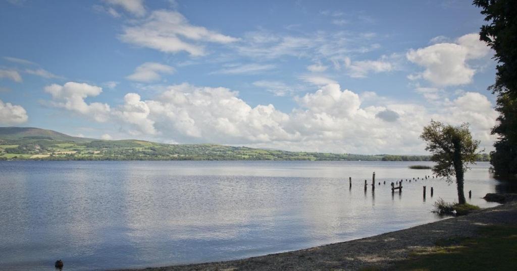 Lakeside Cottage Killaloe Esterno foto